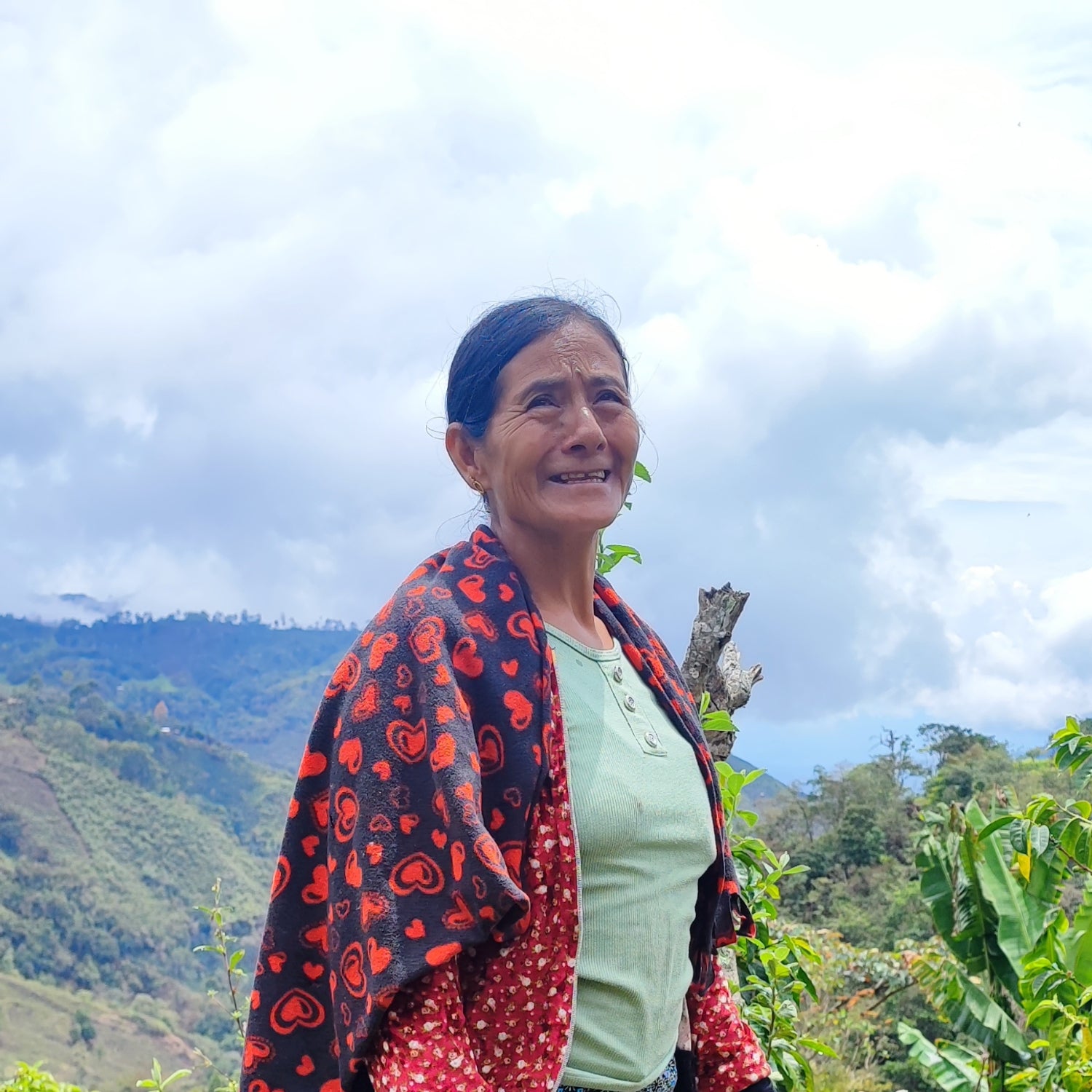 Peru - Lucía Muñoz (2024)