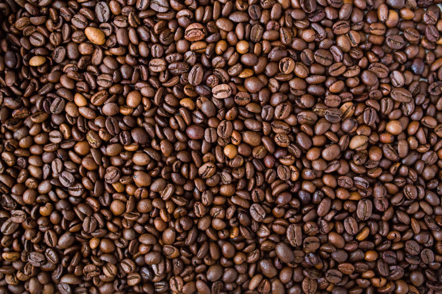 Arabica vs. Robusta - Quality vs. Quantity