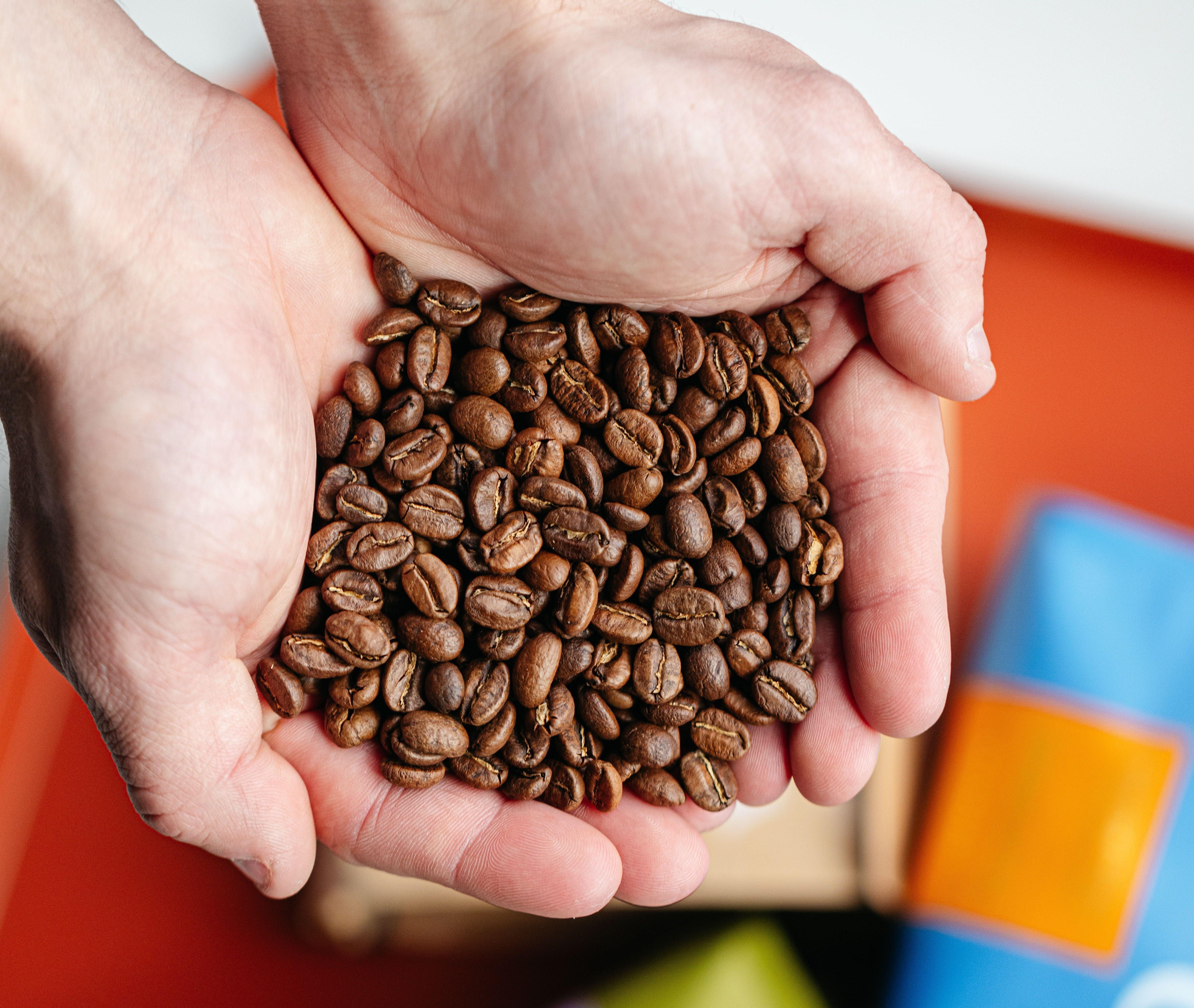 Partners Coffee hands holding coffee beans